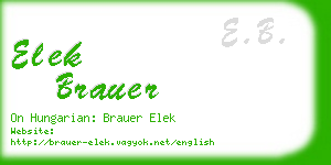 elek brauer business card